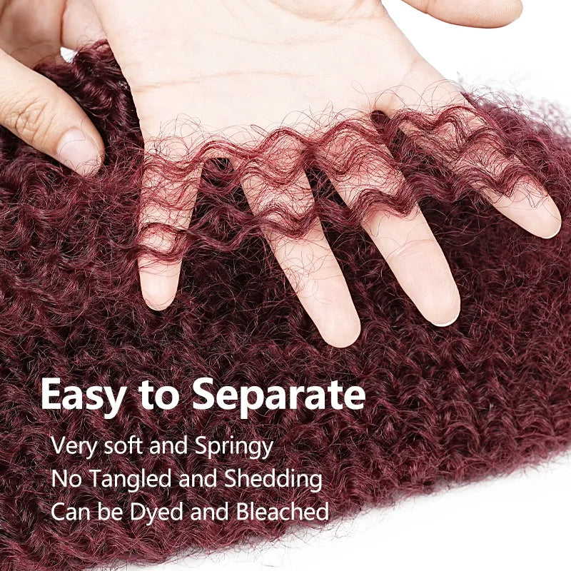 Wholesale Afro Kinky Human Hair Bulk for Braiding | 100% Human Hair | Double Drawn Luxury Remy