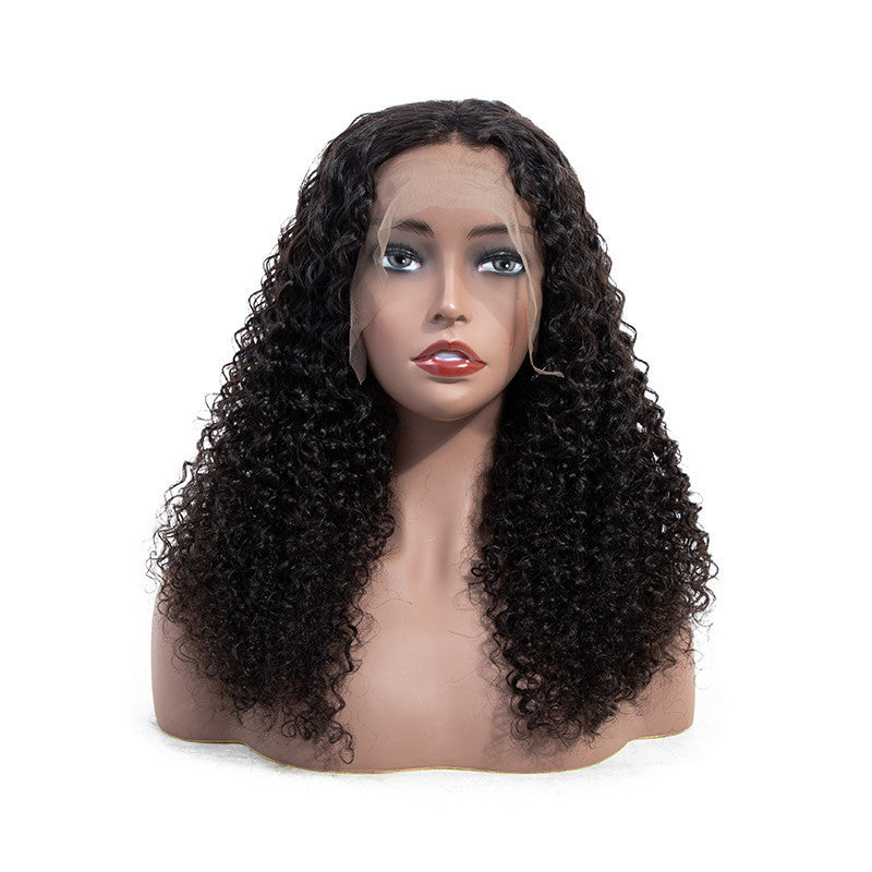 13x4 Lace Frontal Wig Human Hair - HD Transparent Lace, Pre-Plucked with Baby Hair